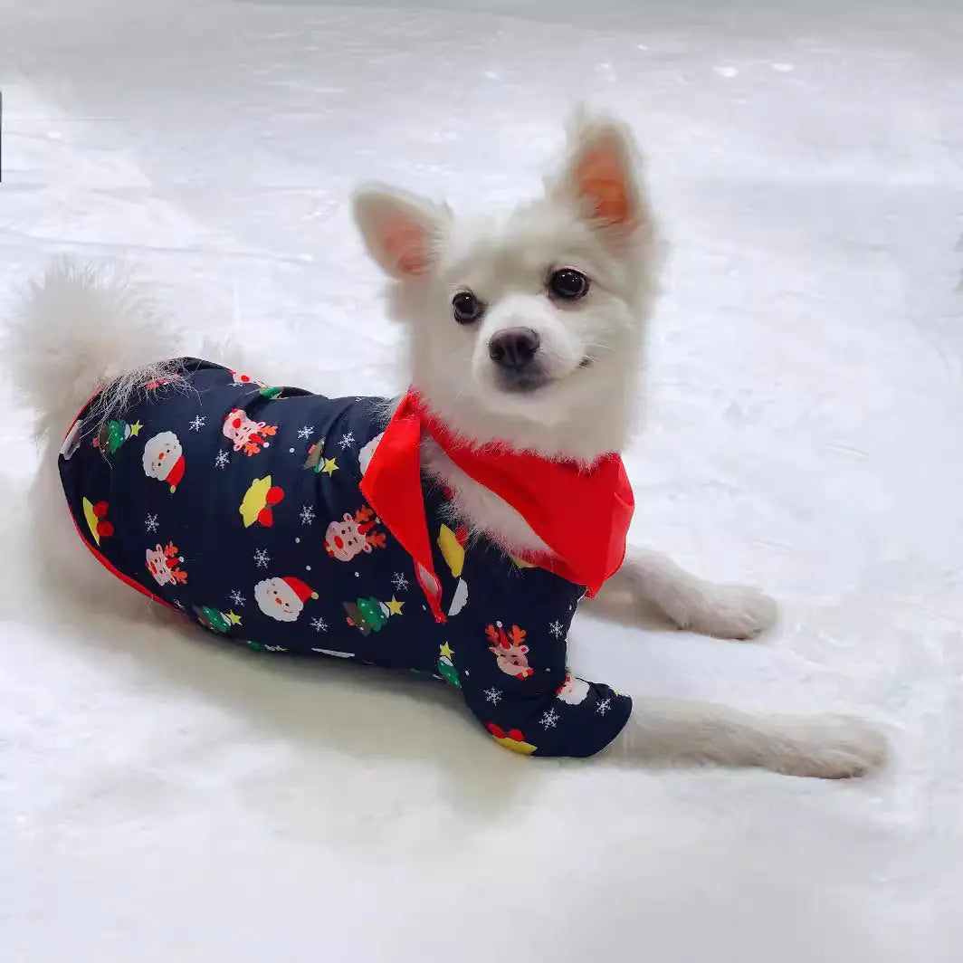 Christmas Family Pajama Set with Santa Print