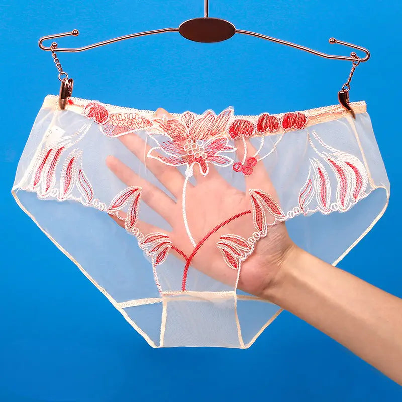 Transparent Lace Mesh Women's Underwear - Low Waist Sexy